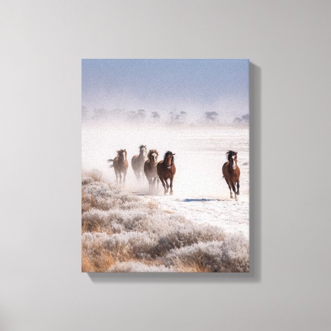 Wild Horses Snowy Plain Winter Art Canvas Print (Front)