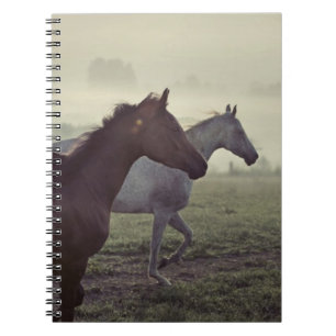Wild horses spiral notebook