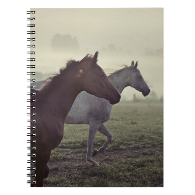 Wild horses spiral notebook (Front)