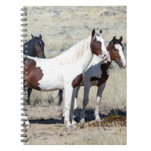 WILD HORSES SPIRAL NOTEBOOK