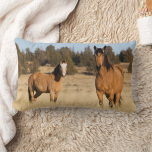 Wild Horses, Steens Mountains Lumbar Cushion