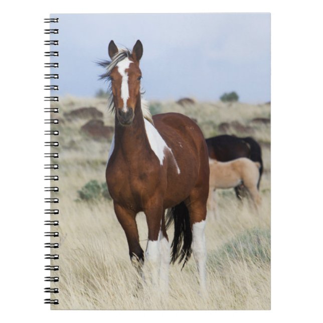 Wild Horses, Steens Mountains Notebook (Front)