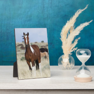 Wild Horses, Steens Mountains Plaque