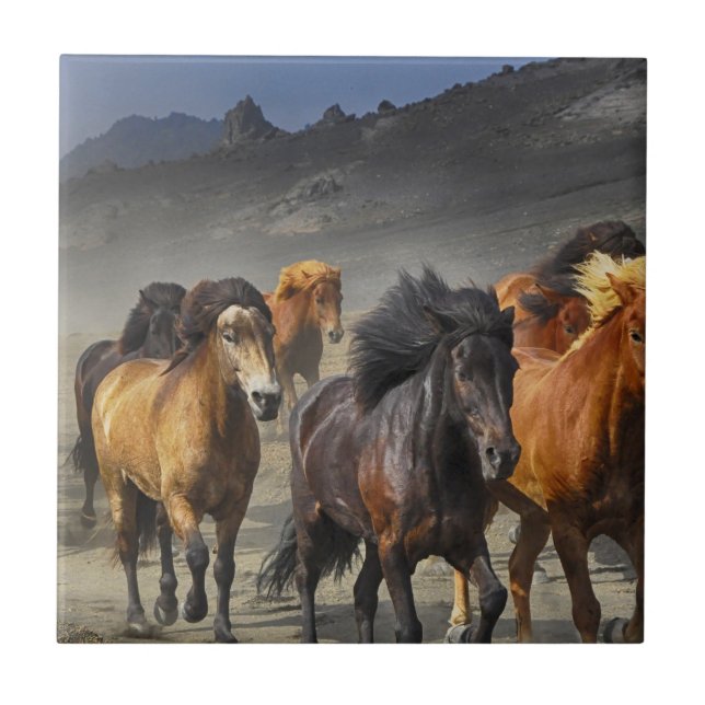 Wild Horses Tile (Front)