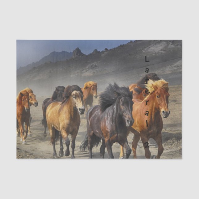 Wild Horses Tissue Paper (Front)