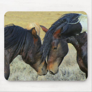 Wild Horses Touching Noses Mousepad