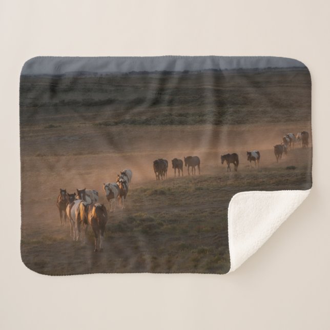 Wild Horses Walking Towards Desert Sherpa Blanket (Front (Horizontal))