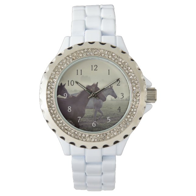 Wild horses watch (Front)