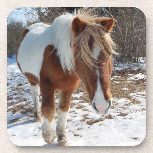 Wild Horses, Wildlife, Coasters, set of 6 Coaster (Front)