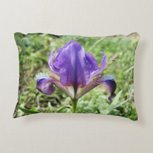 Wild Iris Accent Pillow (Back)