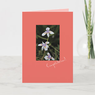 Wild Iris Congratulations Greeting Card