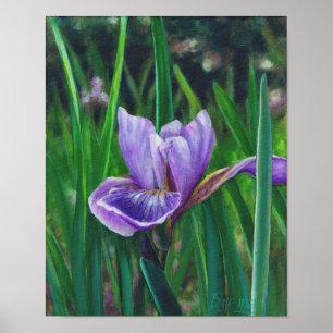 Wild Iris Poster