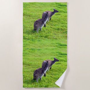 Wild Kangaroos On Green Grass, Beach Towel