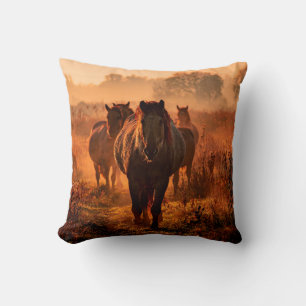 wild konik horses wich came running straight towar cushion