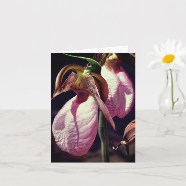 Wild Lady Slipper Orchids Flower Personalised Note Card (Small Plant)
