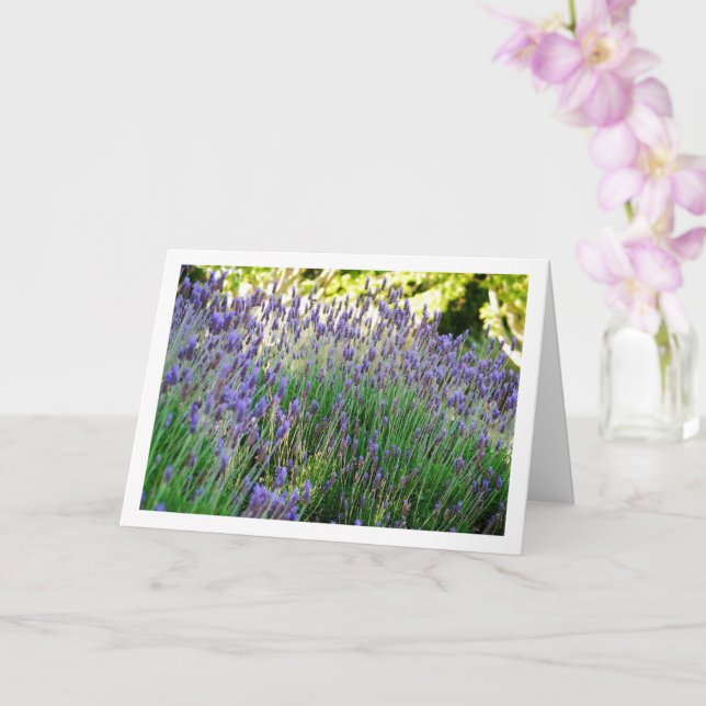 Wild Lavender Portrait Card (Orchid)