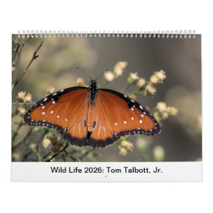 Wild Life 2026 Calendar