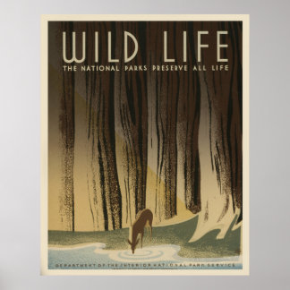 Wild Life Poster