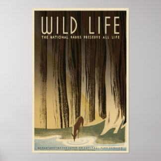 Wild Life Preservation - National Park Service Poster