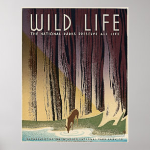 Wild Life - The National Parks preserve all Life. Poster