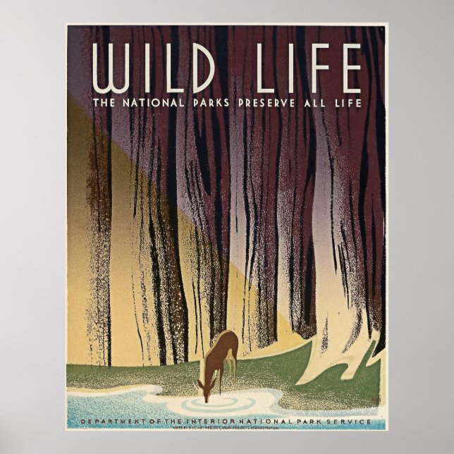 Wild Life - The National Parks preserve all Life. Poster (Front)