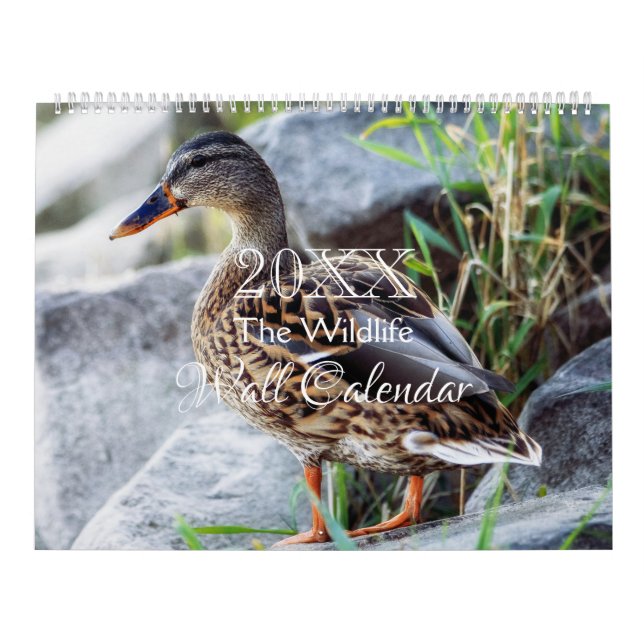 Wild Life Wall Calendar - HAMbWG (Cover)