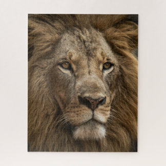 Wild Lion's Face Big Cat Wildlife Jigsaw Puzzle
