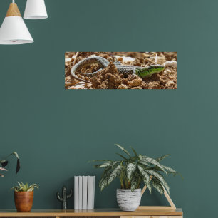 Wild Lizard Nature Photography Rustic   Poster