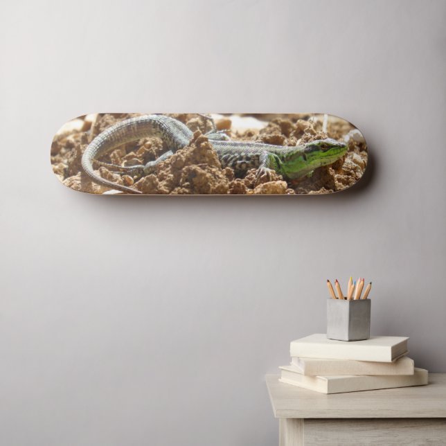 Wild Lizard Nature Photography Rustic  Skateboard (Wall Art (Horz))