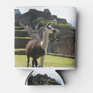 Wild Llama Near Ruins Can Cooler