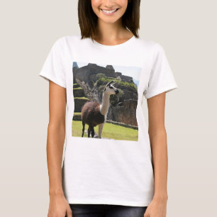 Wild Llama Near Ruins T-Shirt
