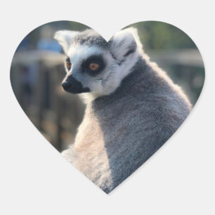 Wild Love: For Australia Heart Sticker