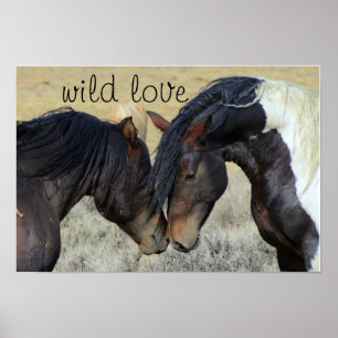 WILD LOVE HORSES POSTER