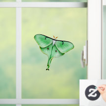 Wild Luna Moth Insect Bug Window Cling