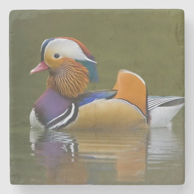 Wild Mandarin Duck Aix galericulata) on dark Stone Coaster (Front)