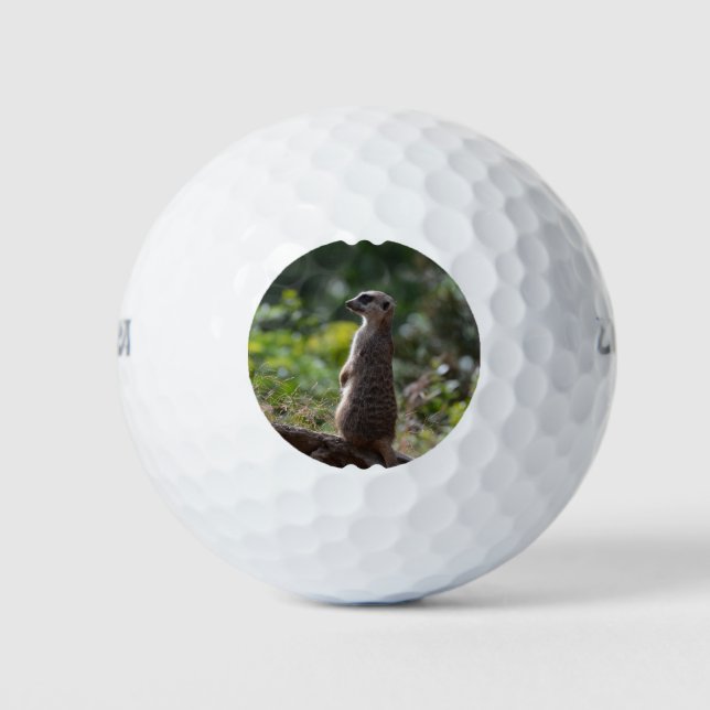 Wild Meerkat Golf Balls (Front)