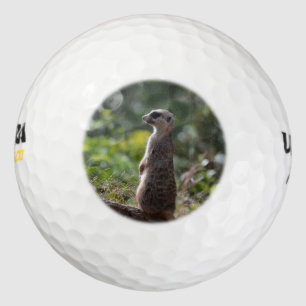 Wild Meerkat Golf Balls