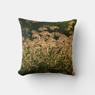 Wild Millet (Panicum Sp.) Growing In Wetland Cushion