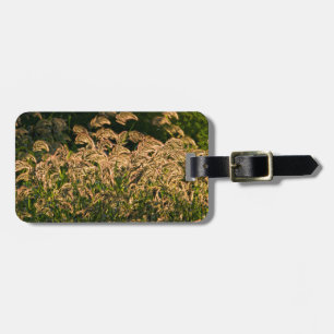 Wild Millet (Panicum Sp.) Growing In Wetland Luggage Tag