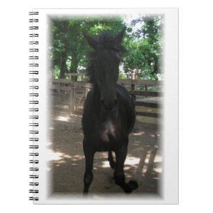 "Wild Mintaka!" Notebook