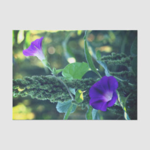 Wild Morning Glory Flowers Decoupage Tissue Paper