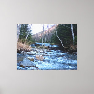 Wild Mountain River - Wild Nature Romania  Canvas Print