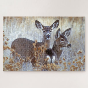 Wild Mule Deer Pair   California Jigsaw Puzzle