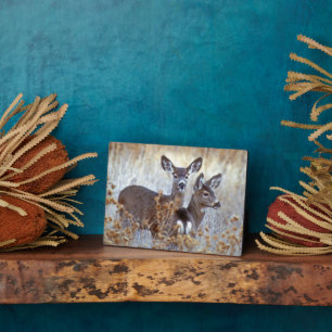 Wild Mule Deer Pair California Plaque