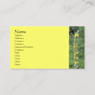 Wild Mullein Flower Photography Business Card
