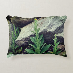 Wild Mullein Flowers Among Rocks   Decorative Cushion