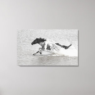 Wild Mundoo Jet Ski Canvas Print