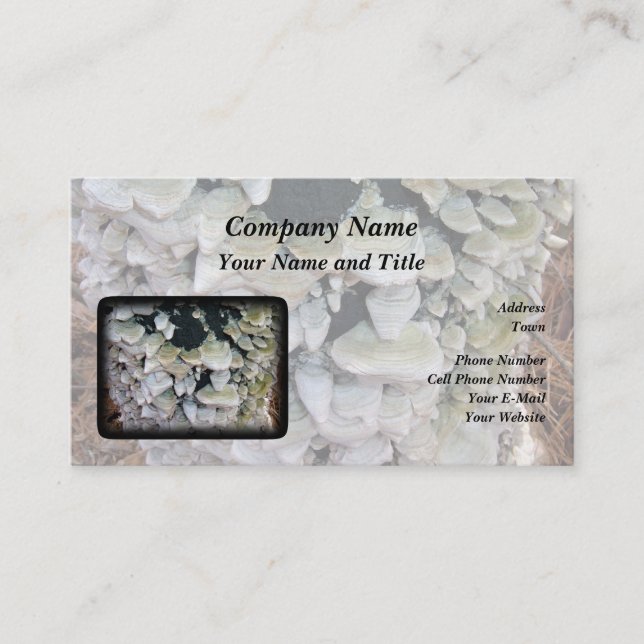 Wild Mushrooms Business Card (Front)