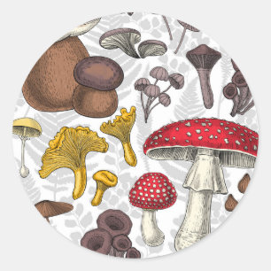 Wild mushrooms classic round sticker