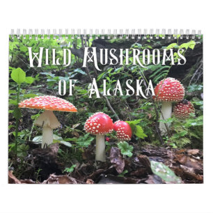 Wild Mushrooms of Alaska - Medium Calendar